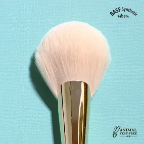 Big Fan Brush