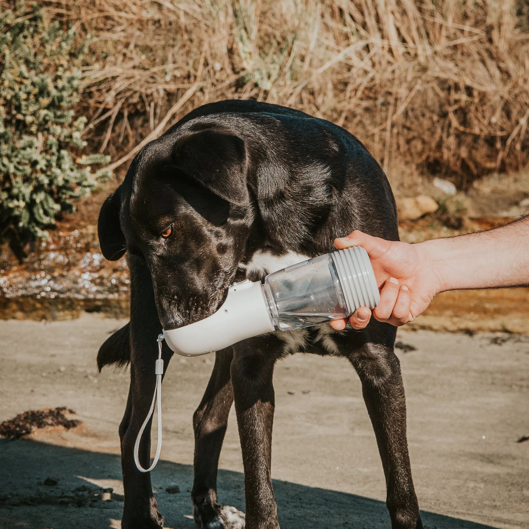 Huskimo Water Bottle with Poop Bag Dispenser 380ml^^^