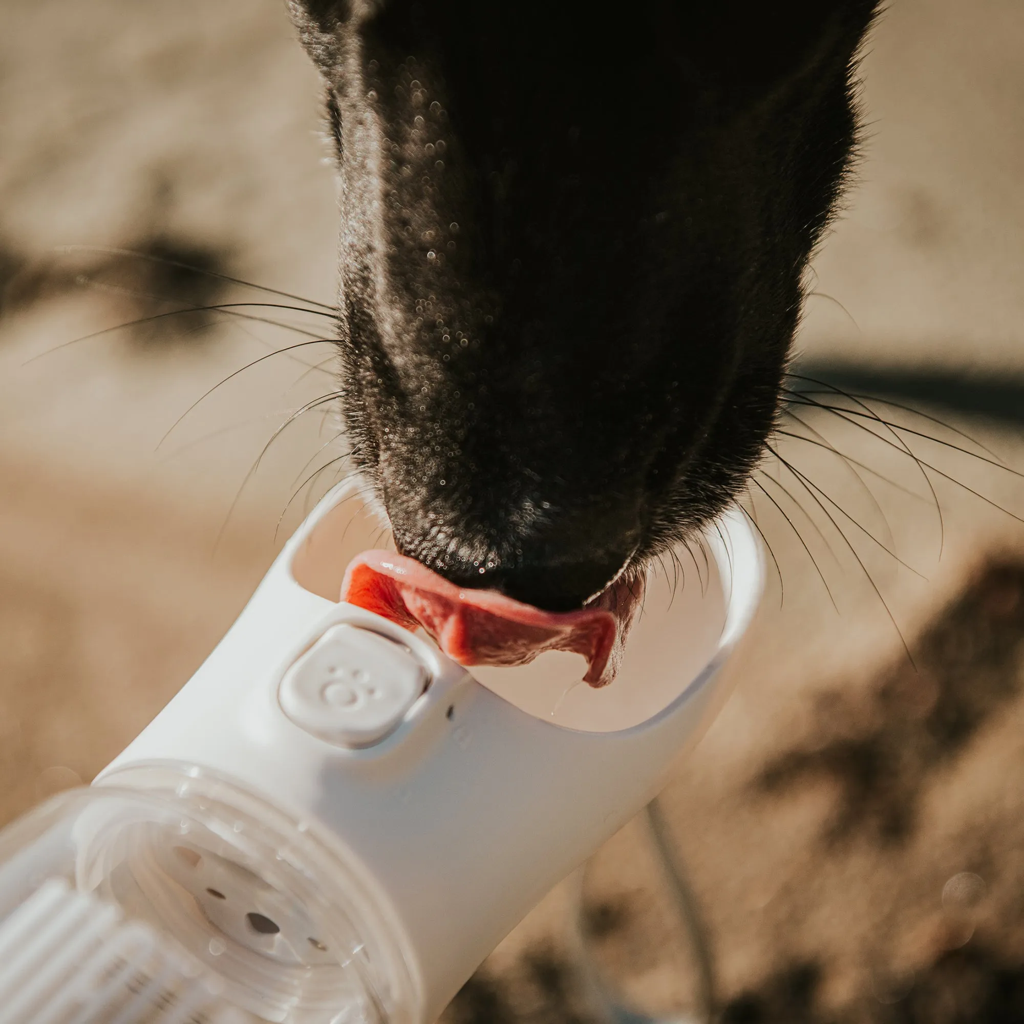 Huskimo Water Bottle with Poop Bag Dispenser 380ml^^^